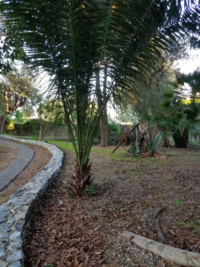 Giardino Labruto Apartment Messina Bagian luar foto